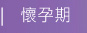 懷孕期