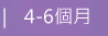 4-6個月