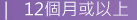 12個月或以上